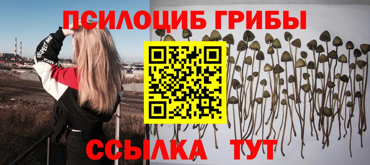 Галлюциногенные грибы GOLDEN TEACHER  Псилоцибиновые грибы прущие грибы  Вход с VPN  Чебаркуль 