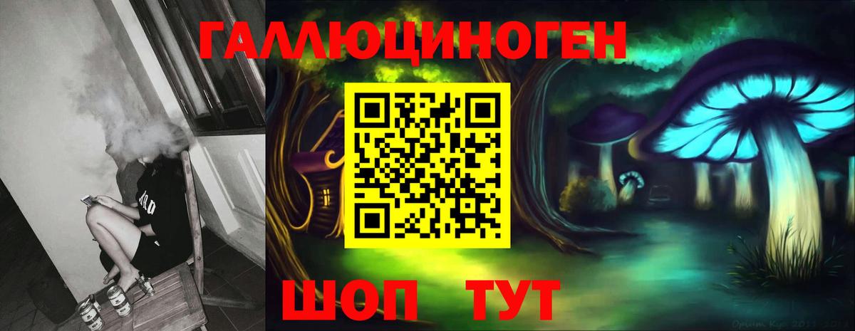 Псилоцибиновые грибы Psilocybe Чебаркуль